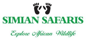 Simian Safaris Logo